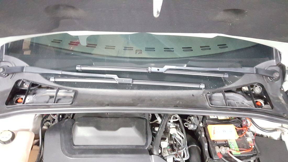 2016-08-09 19.06.59.jpg