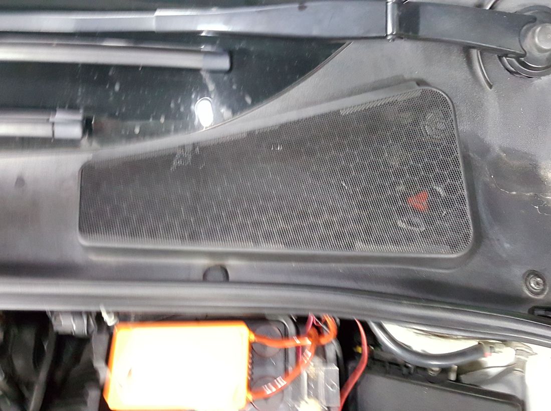 2016-08-09 19.07.50.jpg