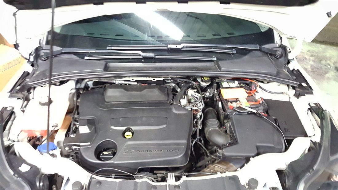 2016-08-09 19.07.58.jpg