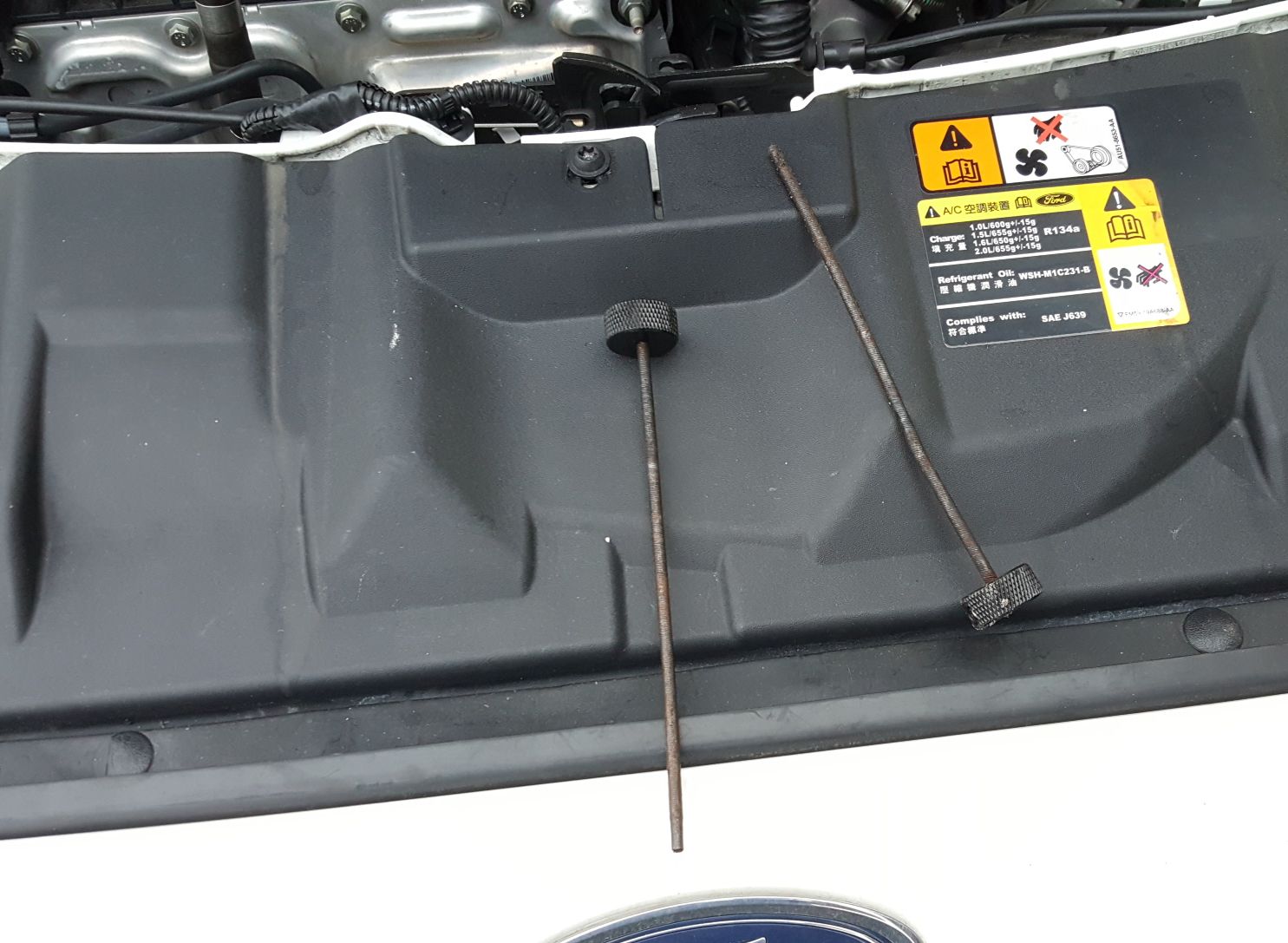 2017-03-08 17.46.34.jpg