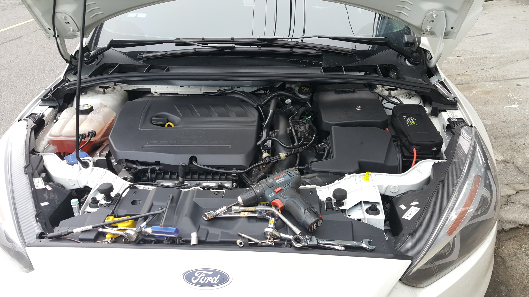 2017-03-08 16.51.57.jpg