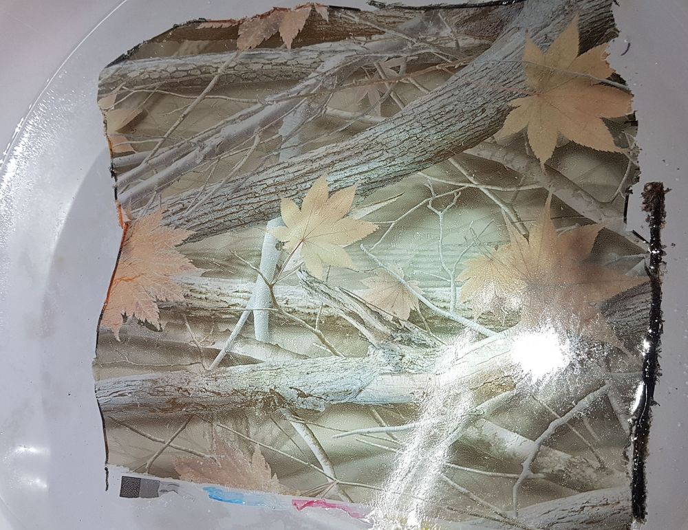 2019-11-05 18.03.34.jpg