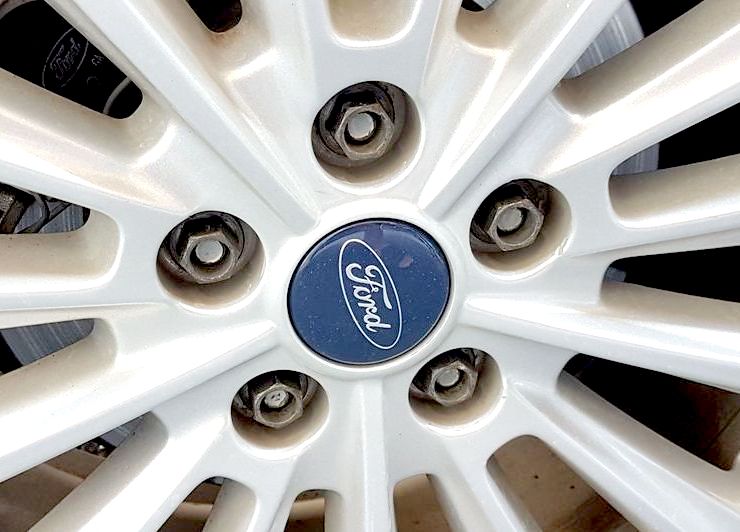 2019-02-13 12.53.07.jpg