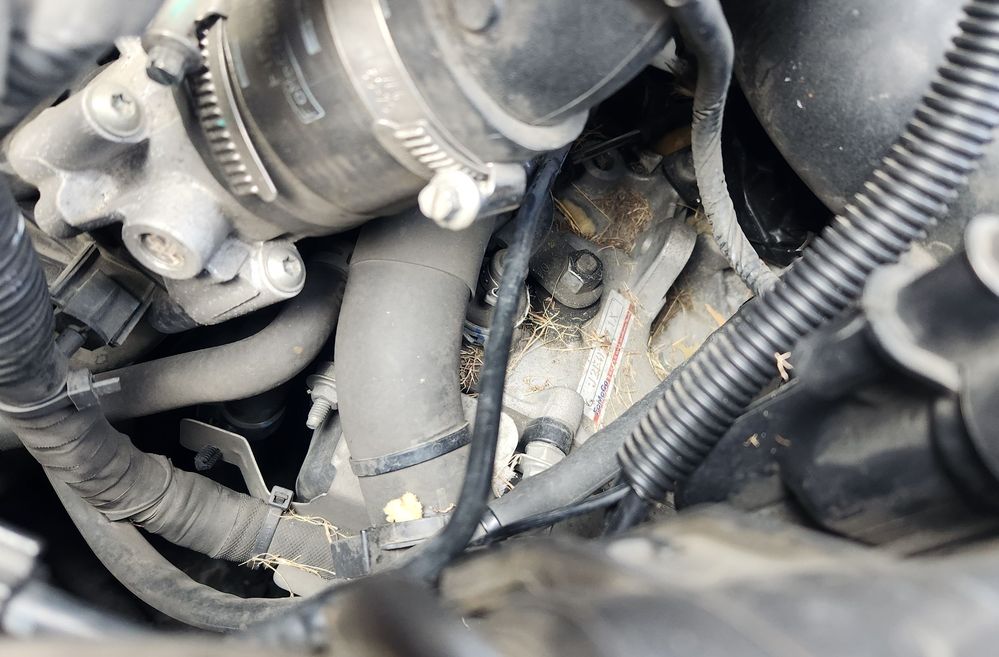 2025-02-24 14.37.56.jpg