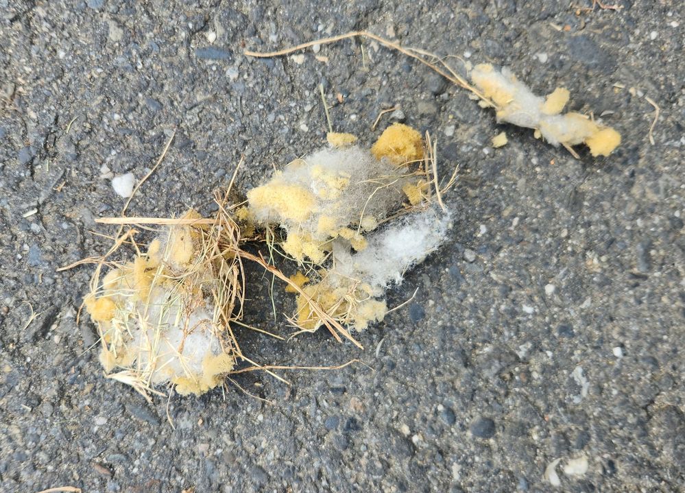 2025-02-24 14.38.01.jpg