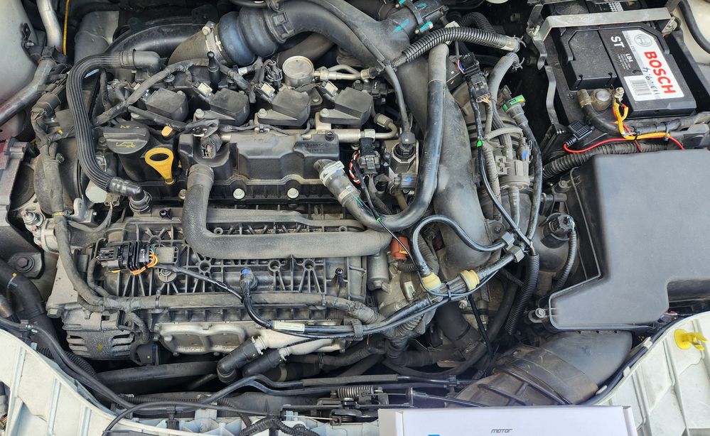 2025-02-24 15.27.21.jpg