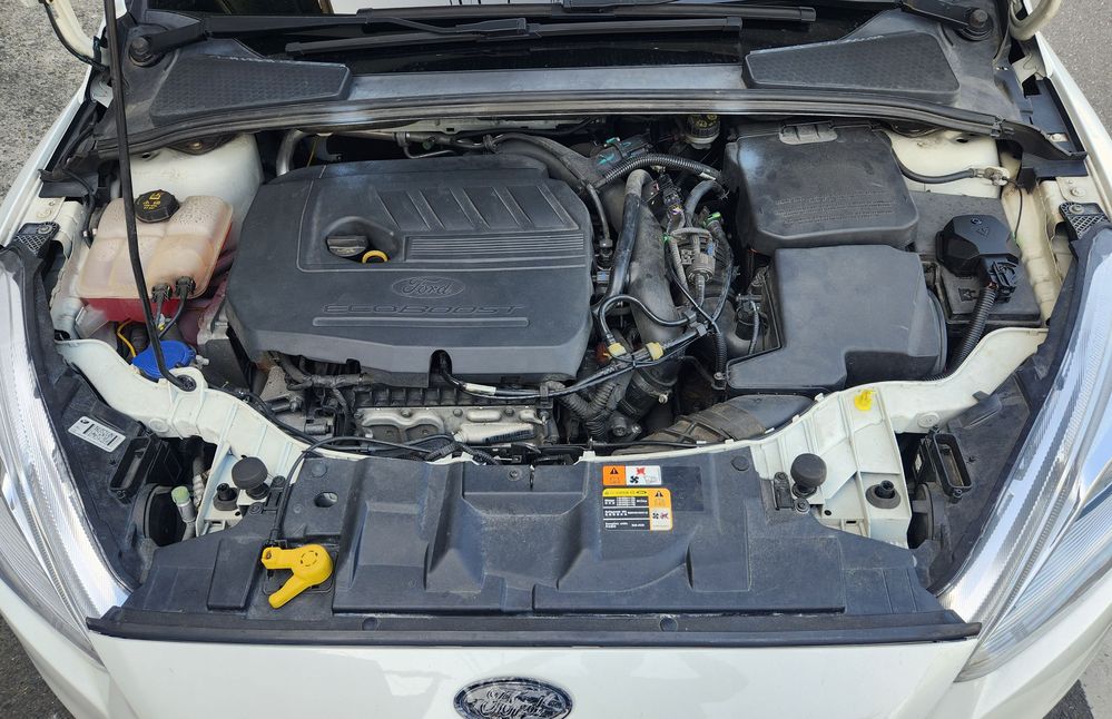 2025-02-24 15.30.10.jpg