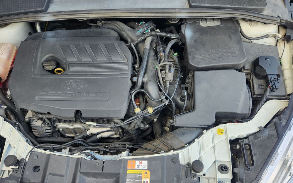 2025-02-24 15.30.15.jpg