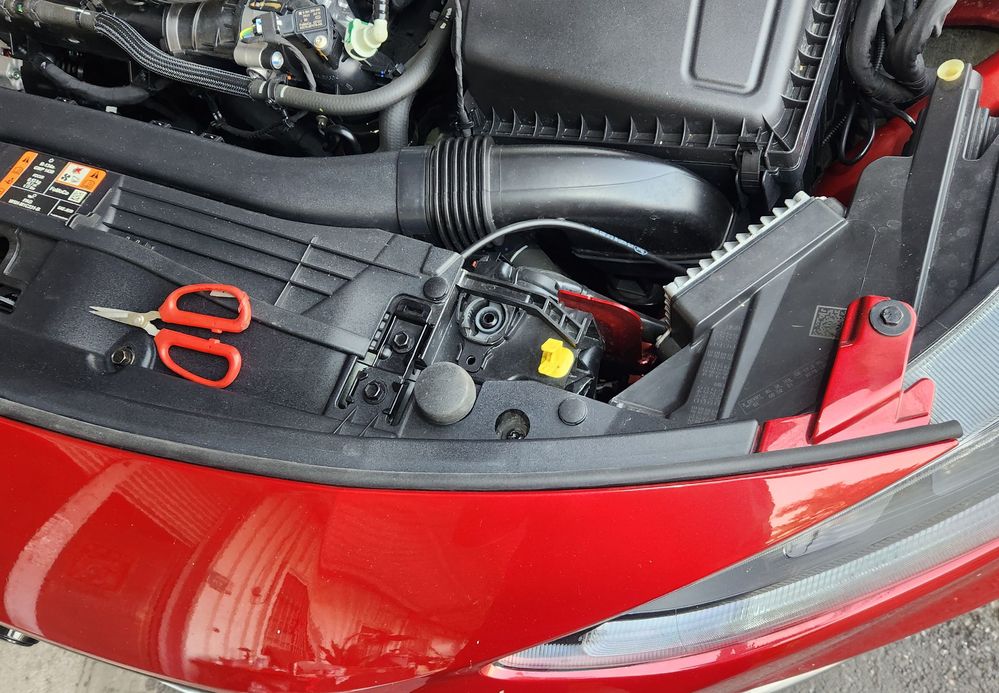 2025-02-20 15.44.31.jpg