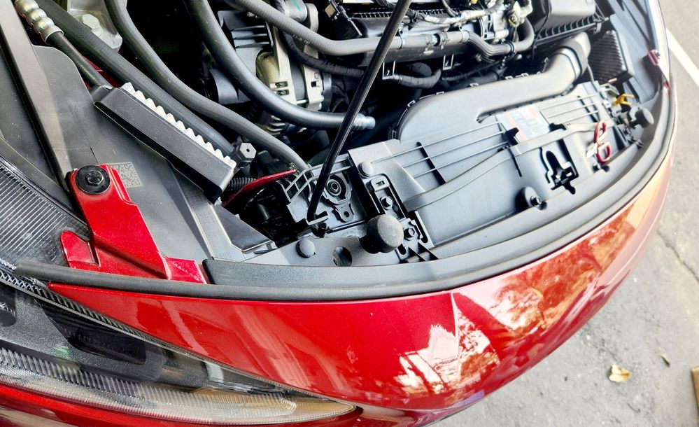 2025-02-20 15.44.42.jpg