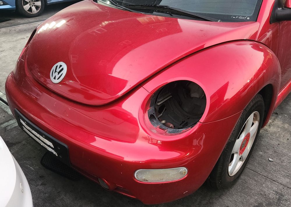 2025-11-14 17.23.24.jpg