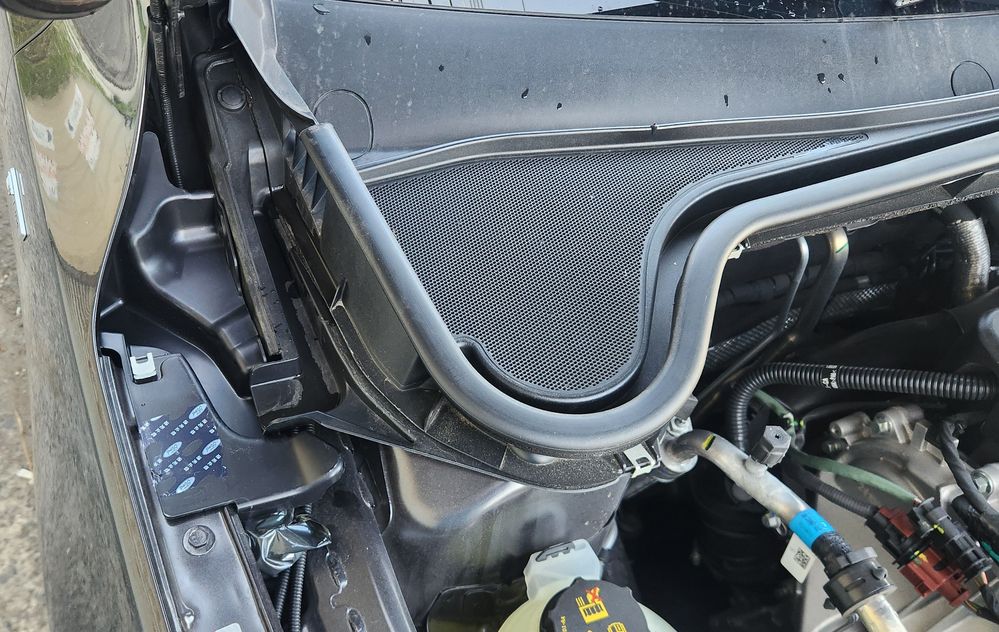 2025-11-16 15.44.20.jpg