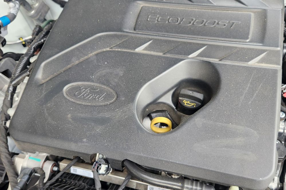 2025-11-26 15.43.43.jpg