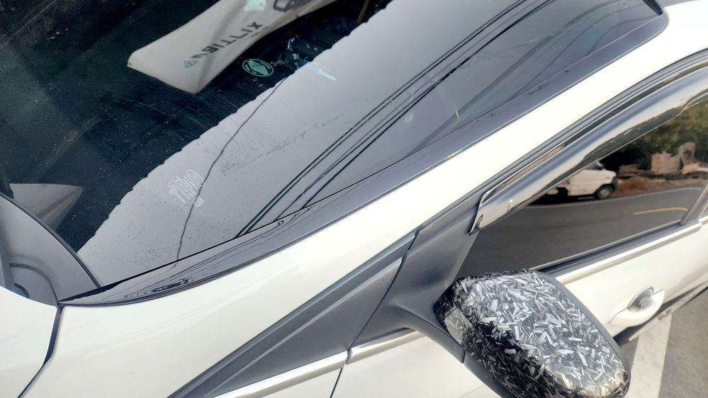 2026-02-15 17.50.44.jpg