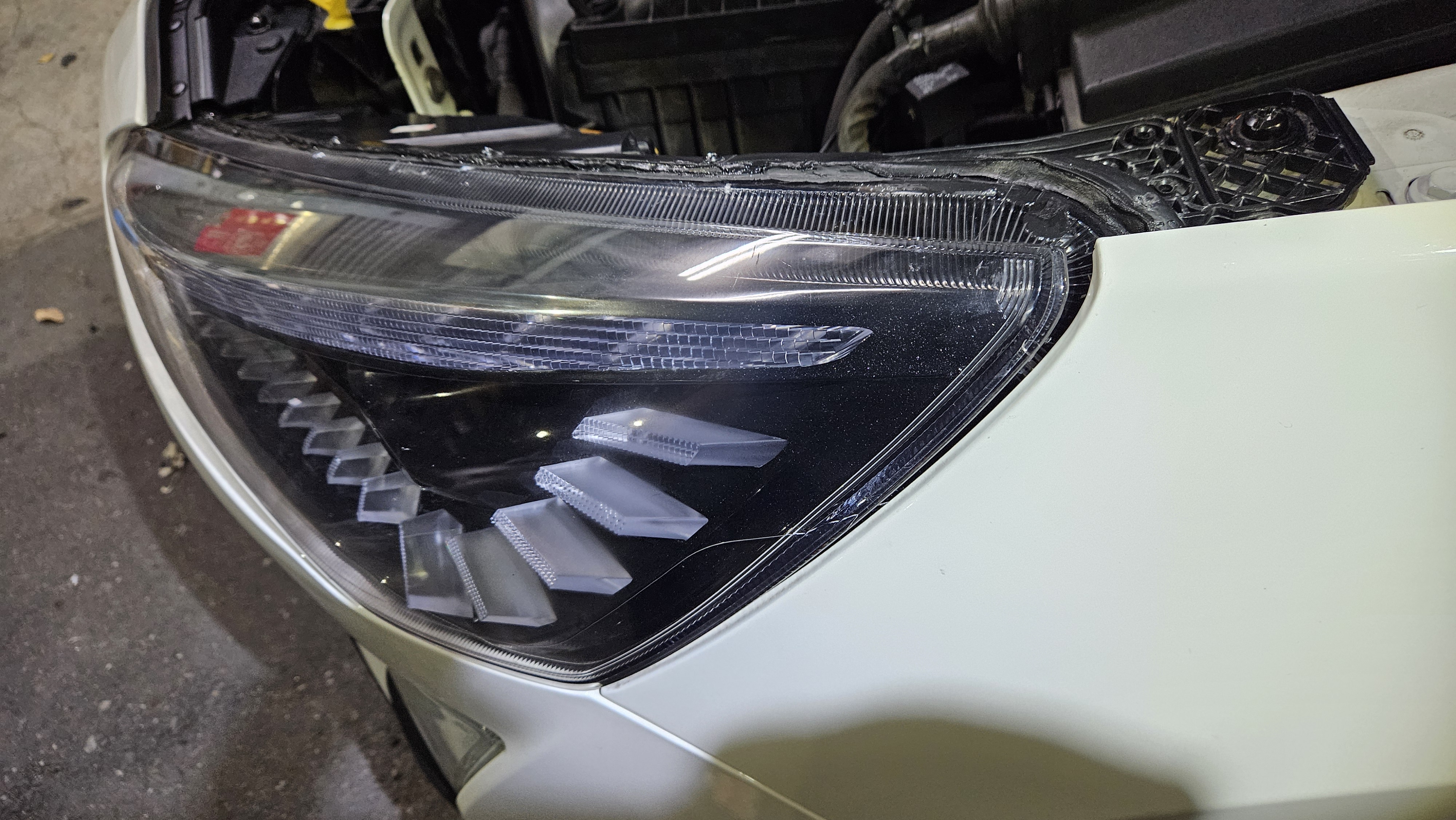 2026-03-19 19.07.41.jpg